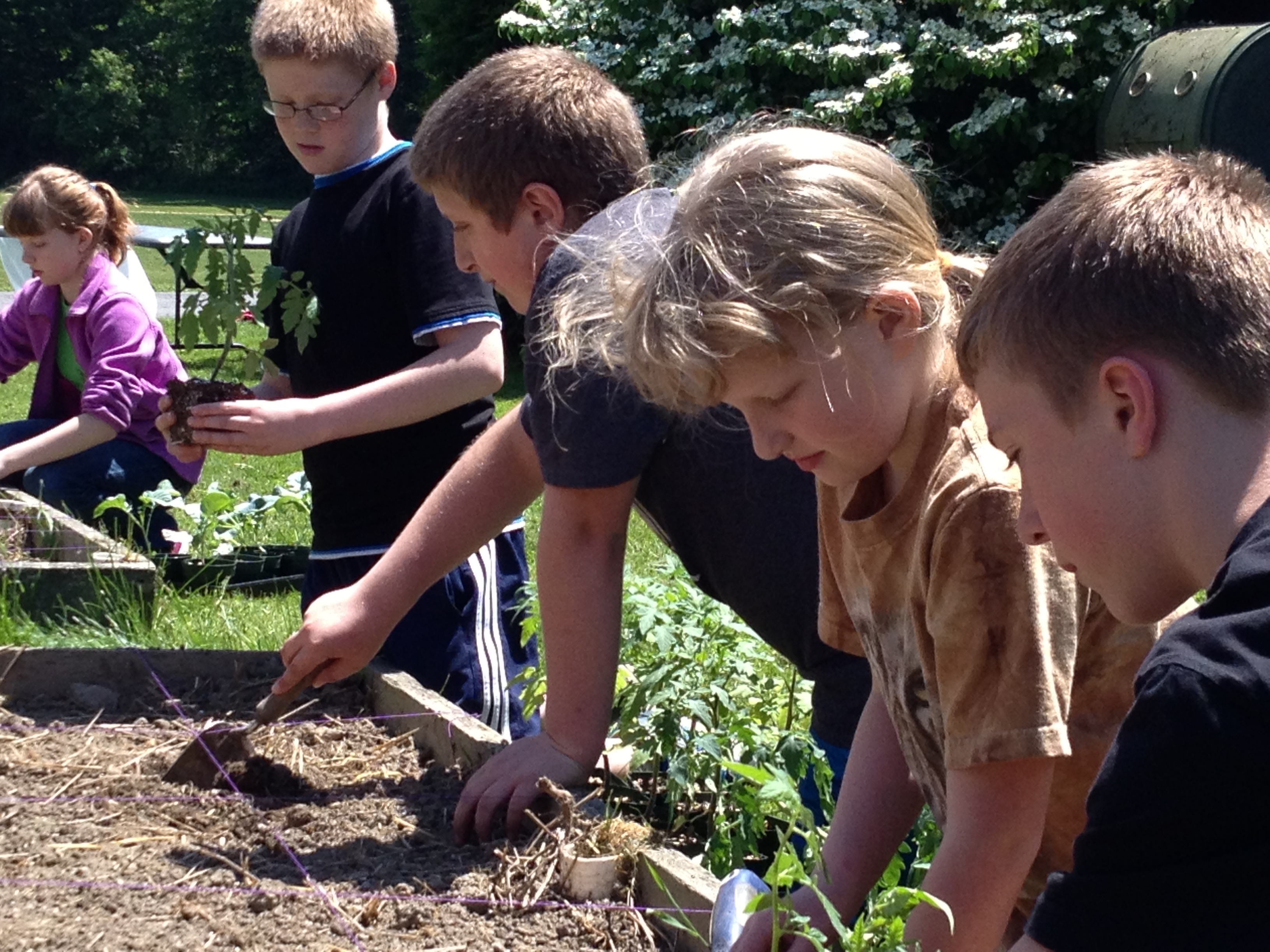 community garden