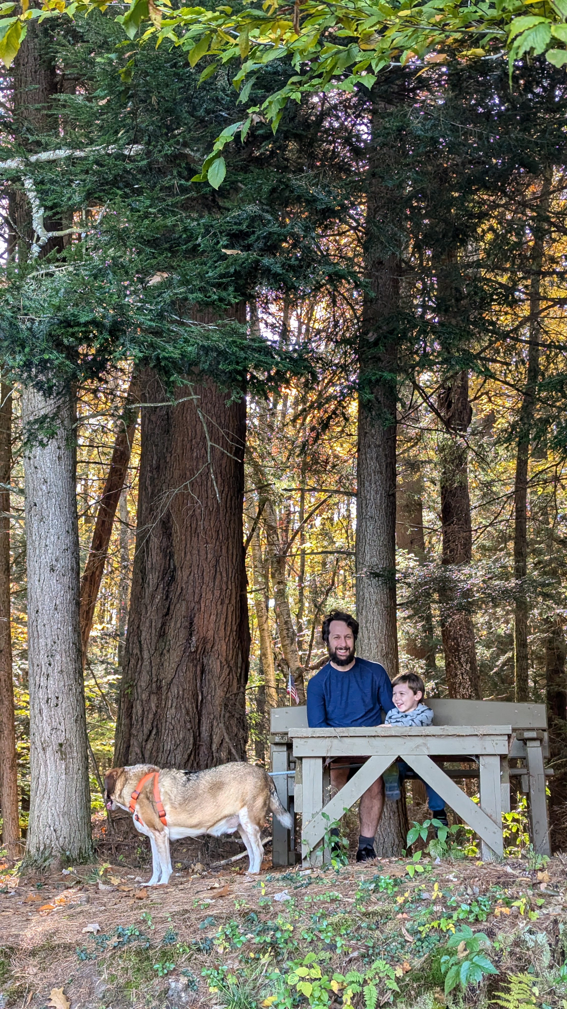 Attachment cm picture.jpg