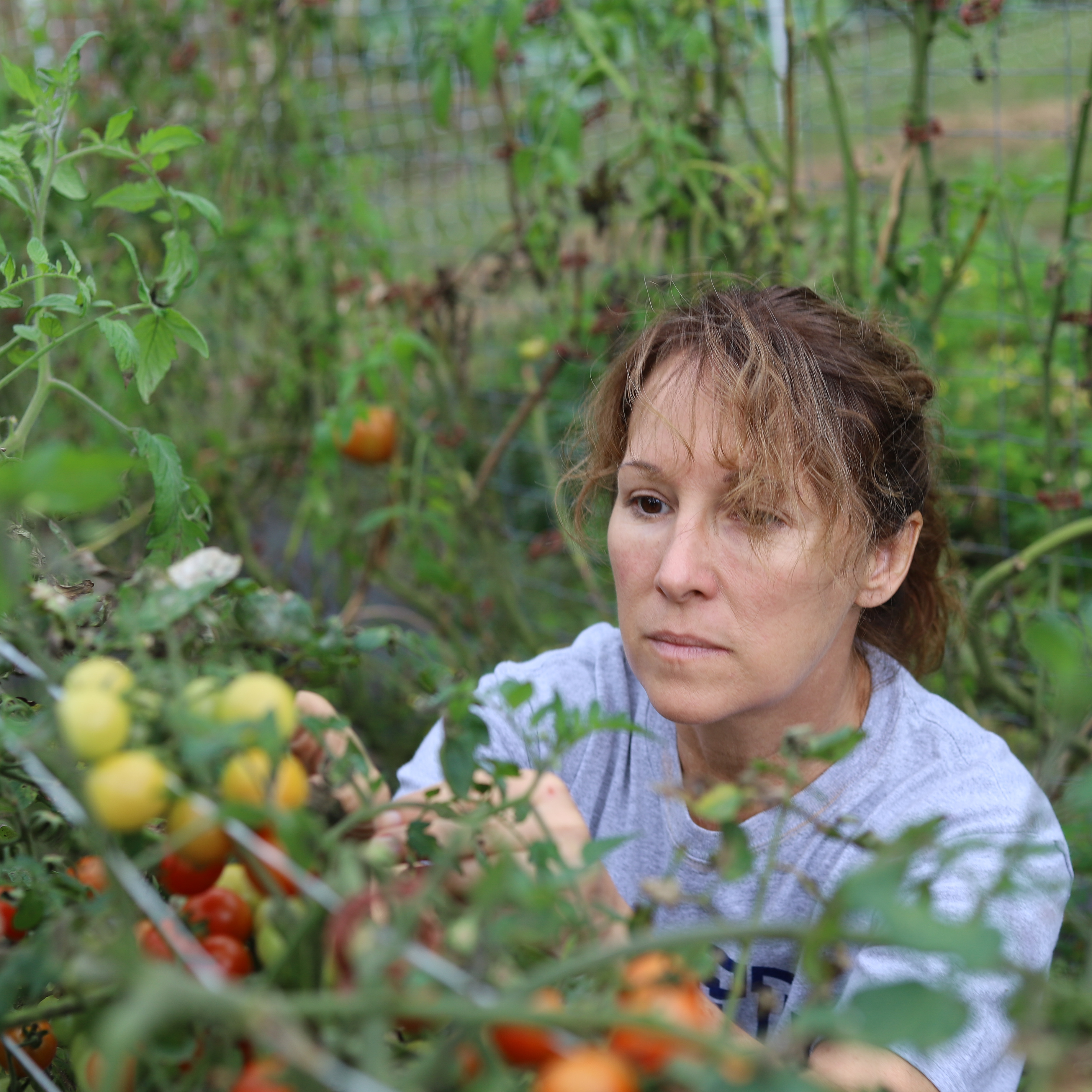 Attachment Nina-Saeli-sfp-staff-headshot.png