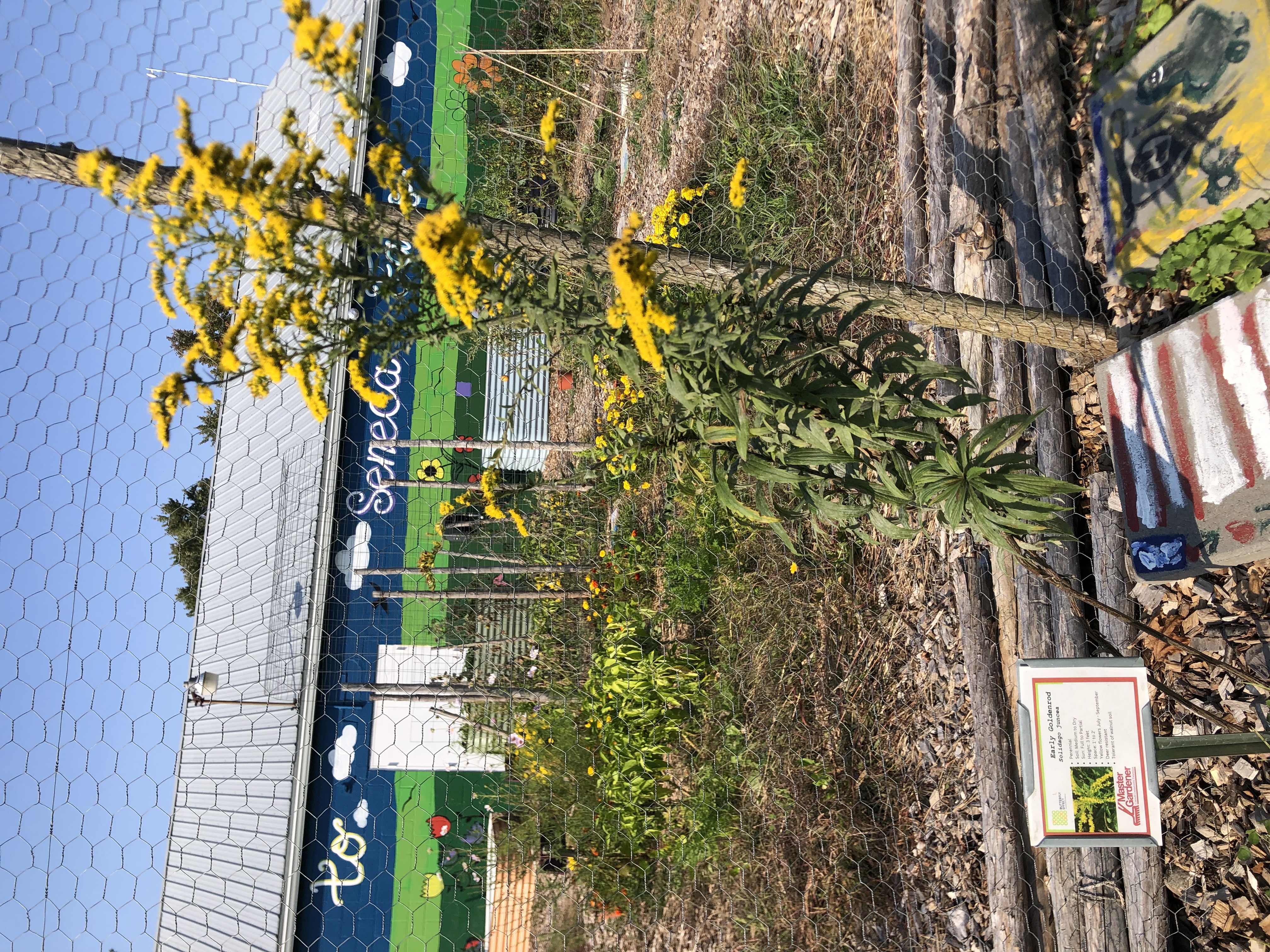 Attachment IMG_4641.jpg