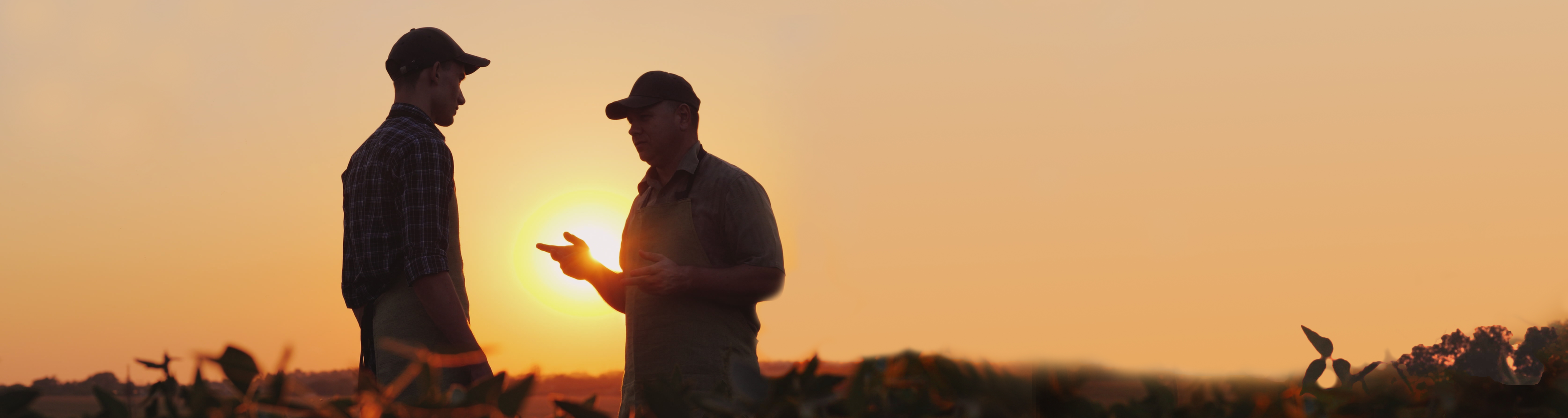 Supervisor and employee talking at sunset