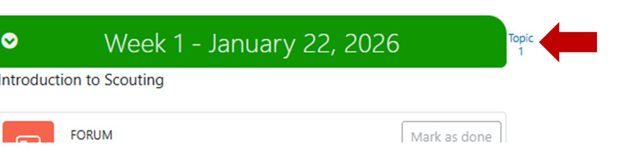 Screenshot of home page with arrow pointing to Topic 1