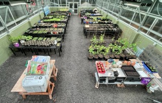 Attachment IMG_3739 Small.jpeg