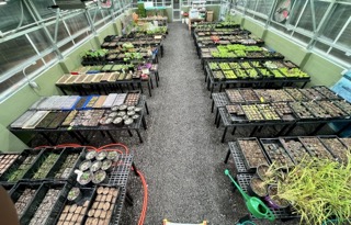 Attachment IMG_3741 Small.jpeg