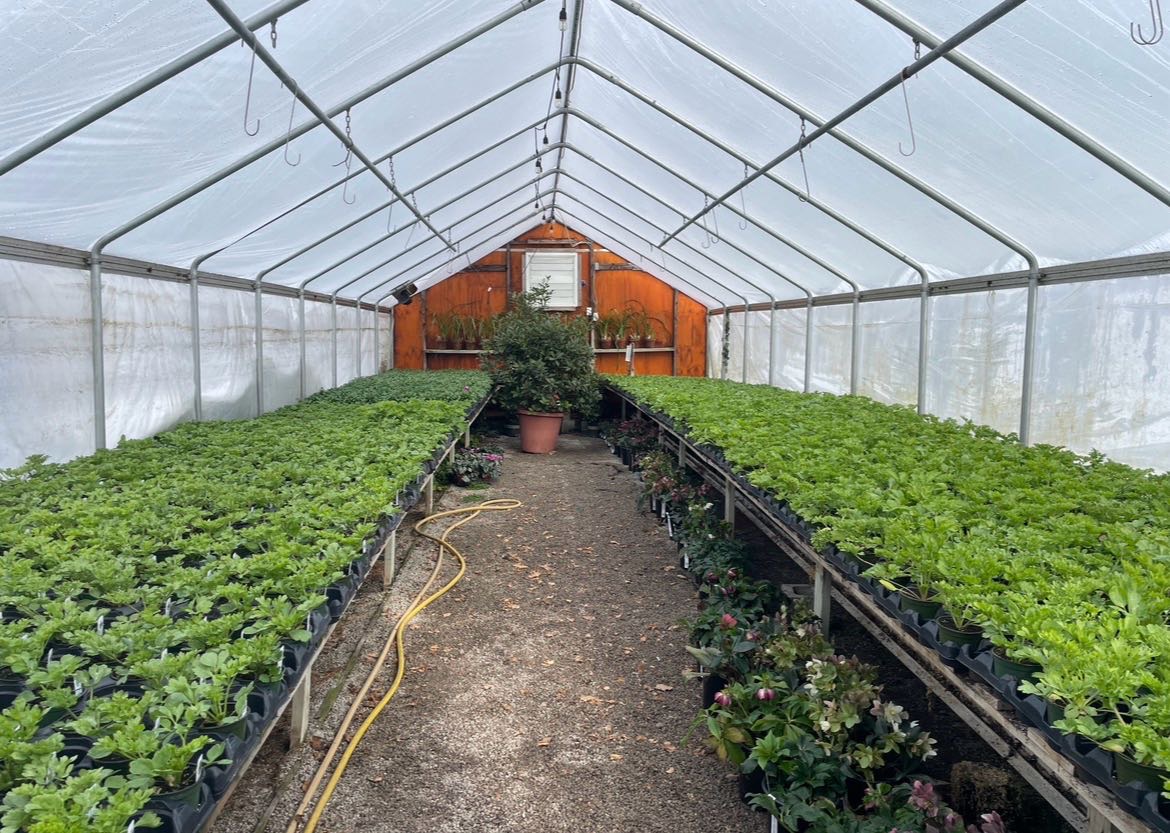 Attachment cdv_photo_1770149061_20260203150421.jpg