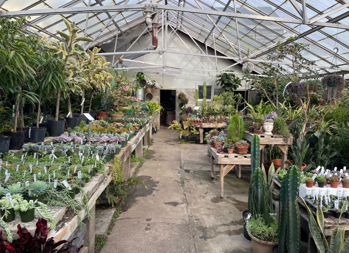 Attachment cdv_photo_1770149189_20260203150629.jpg