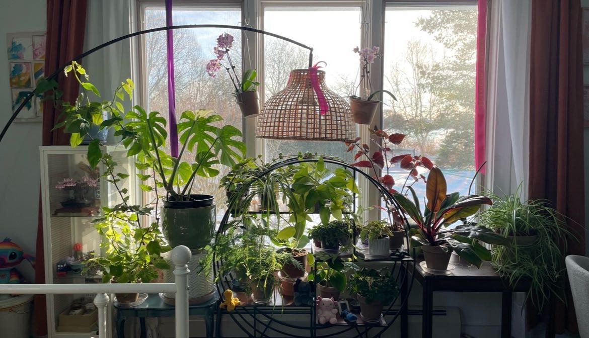 Attachment cdv_photo_1770149204_20260203150644.jpg