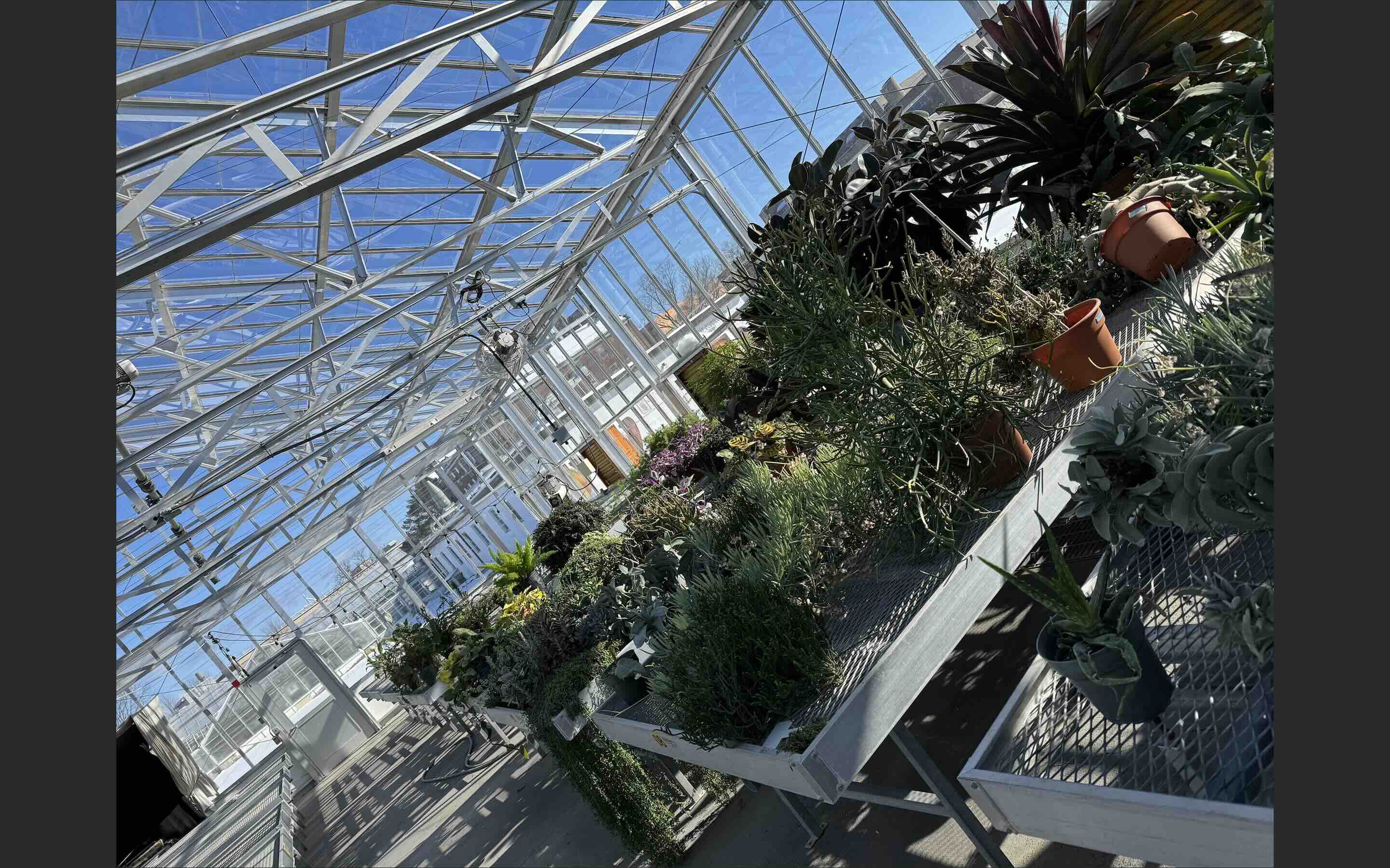 Attachment new save.jpg