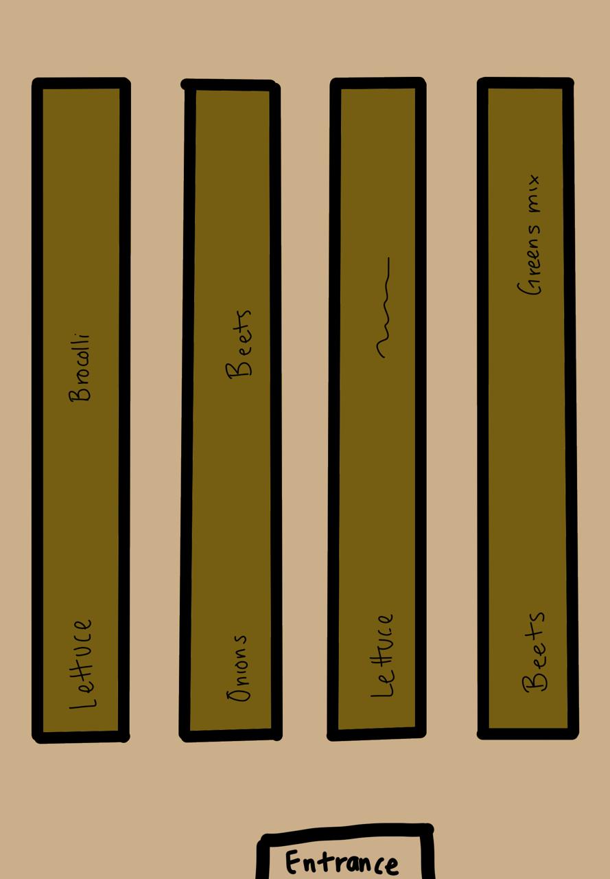 Attachment WhatsApp Image 2026-02-05 at 18.51.19.jpeg