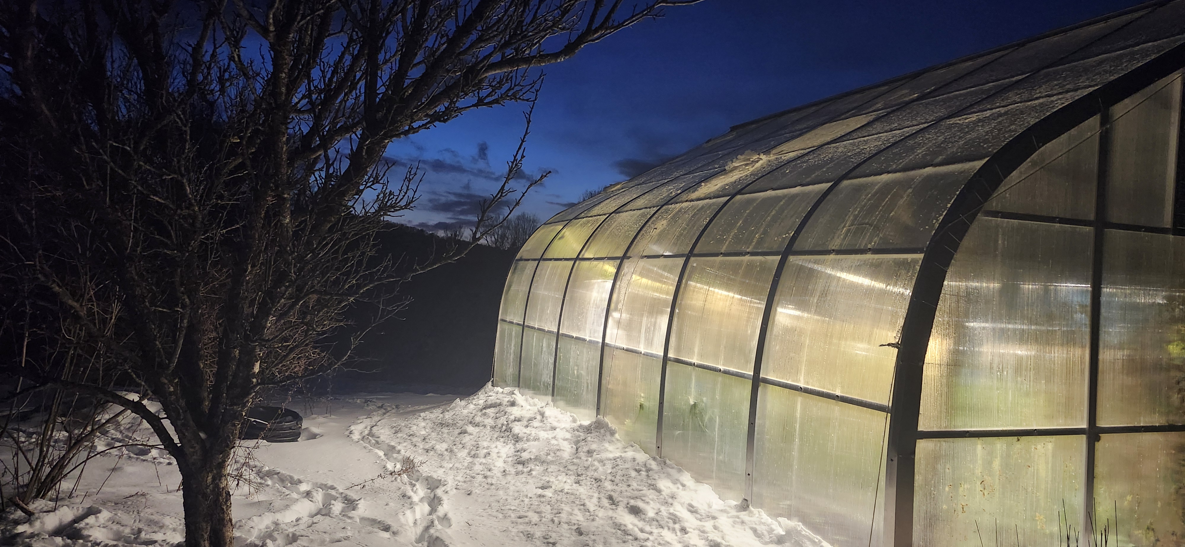 Lori's greenhouse in the evening
