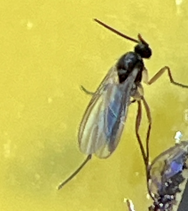 Attachment IMG_3782.jpg