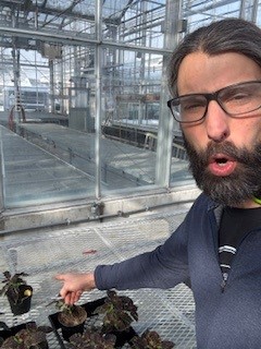 Attachment po ta toe.jpg