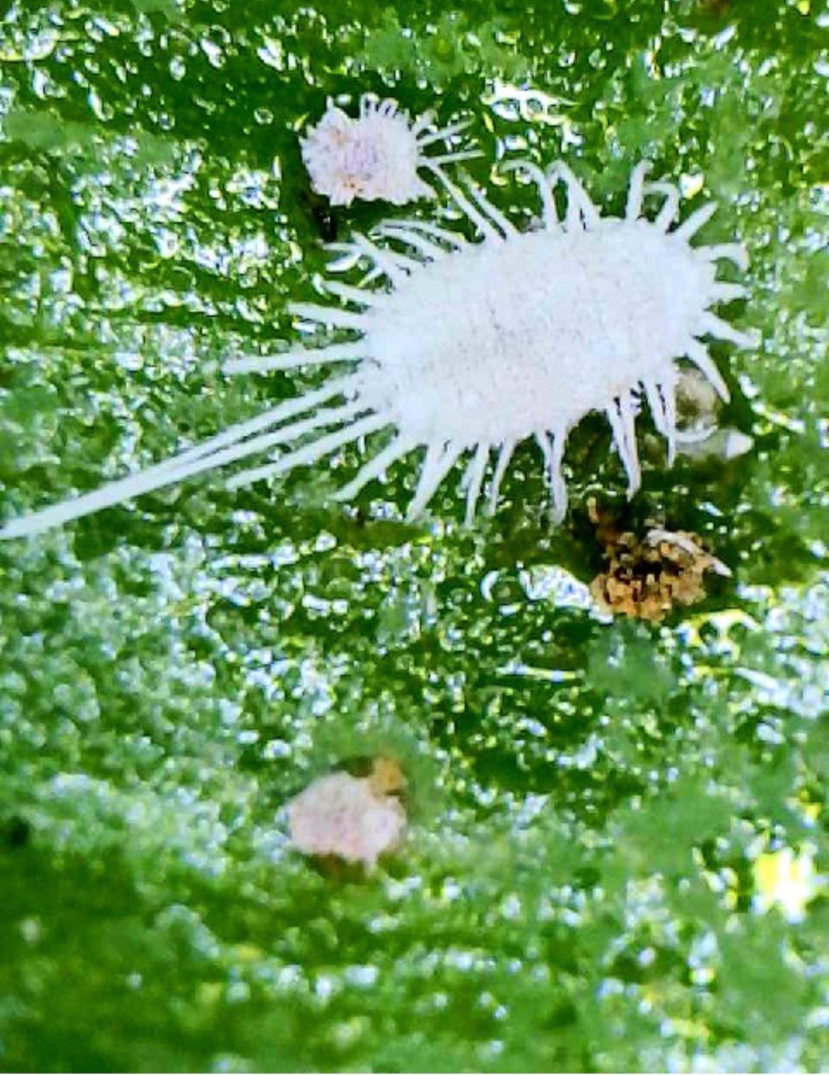 Attachment cdv_photo_1770317226_20260205134706.jpg