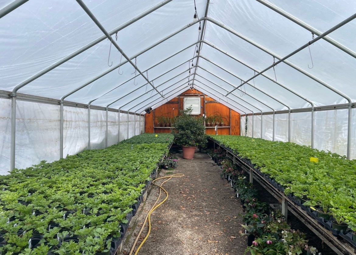 Attachment cdv_photo_1770317316_20260205134836.jpg