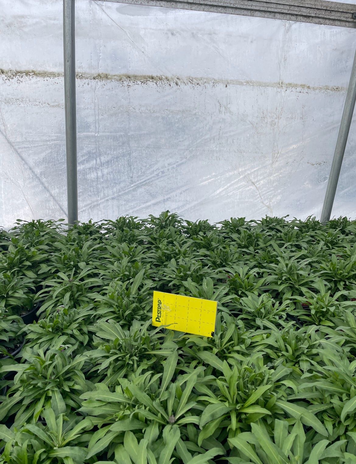 Attachment cdv_photo_1770317322_20260205134842.jpg