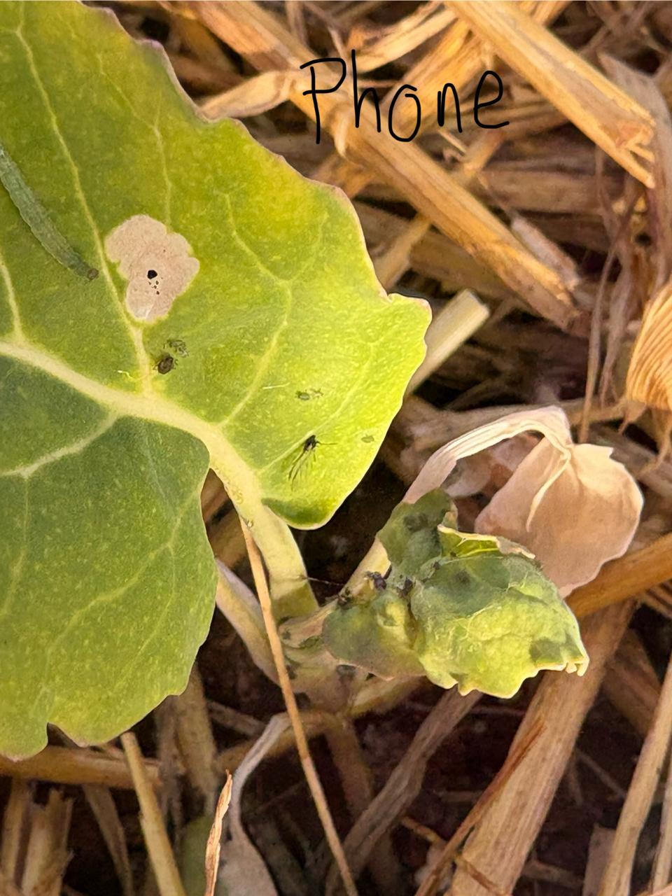 Attachment WhatsApp Image 2026-02-06 at 19.20.56 (1).jpeg