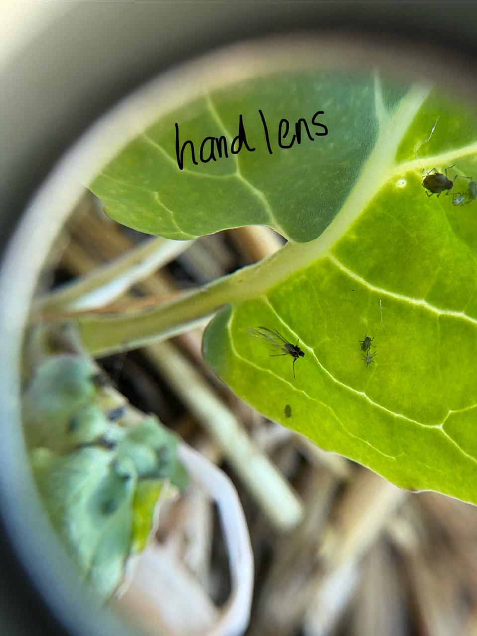 Attachment WhatsApp Image 2026-02-06 at 19.20.56 (2).jpeg