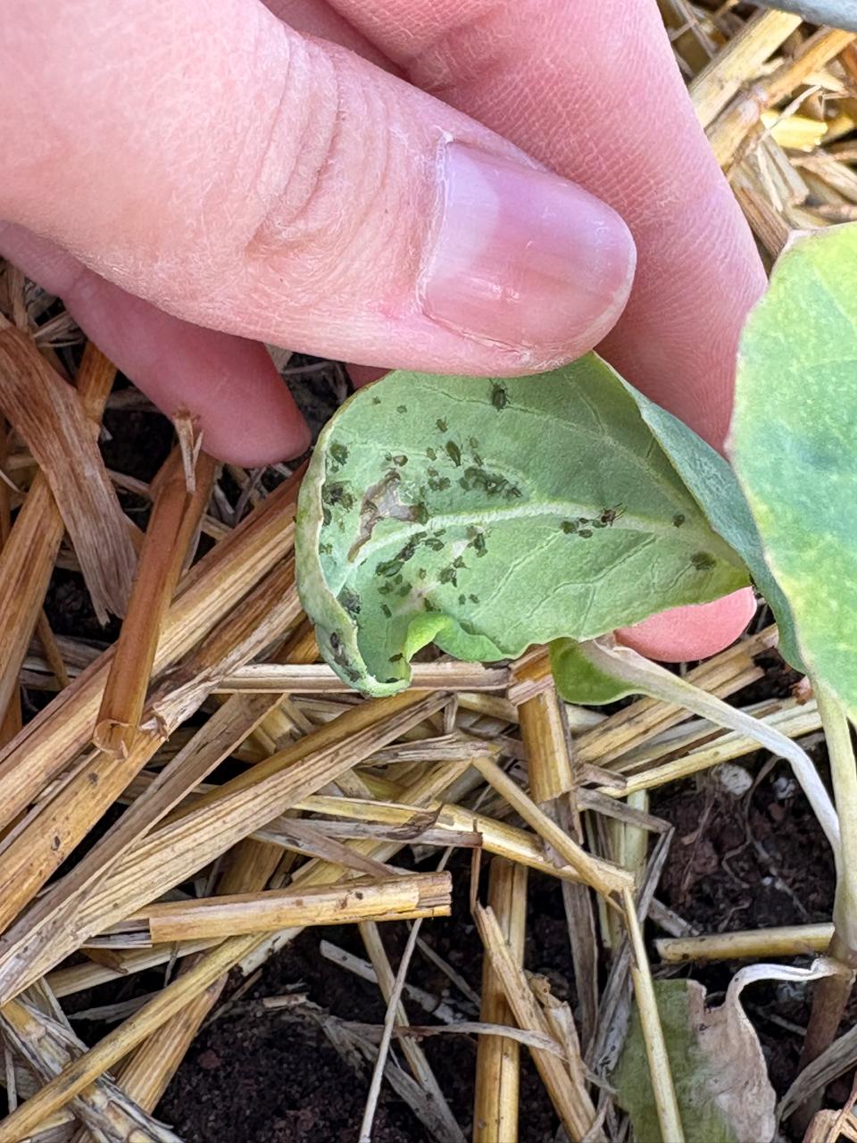 Attachment WhatsApp Image 2026-02-06 at 19.20.56 (5).jpeg