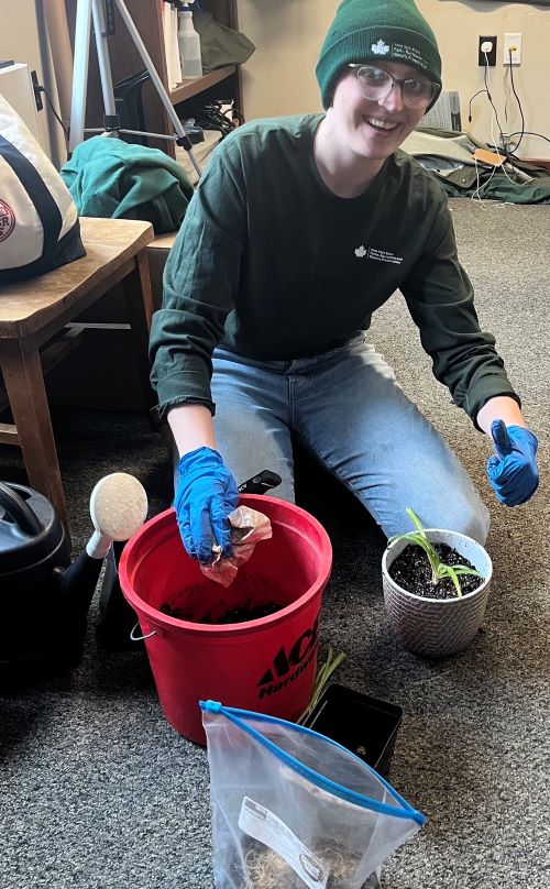 Attachment SpiderPlantRepot.jpg