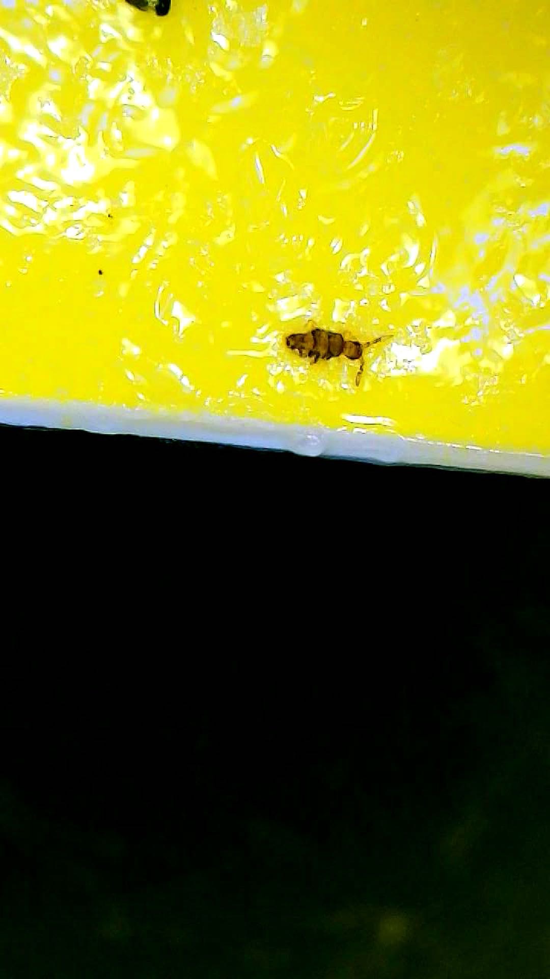 Attachment cdv_photo_1774211364_20260322162924.jpg