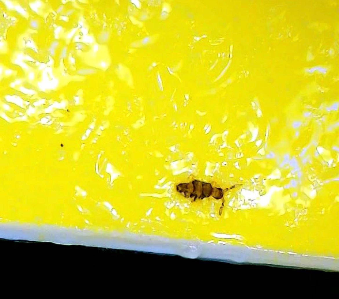 Attachment cdv_photo_1770916272_20260212121112.jpg