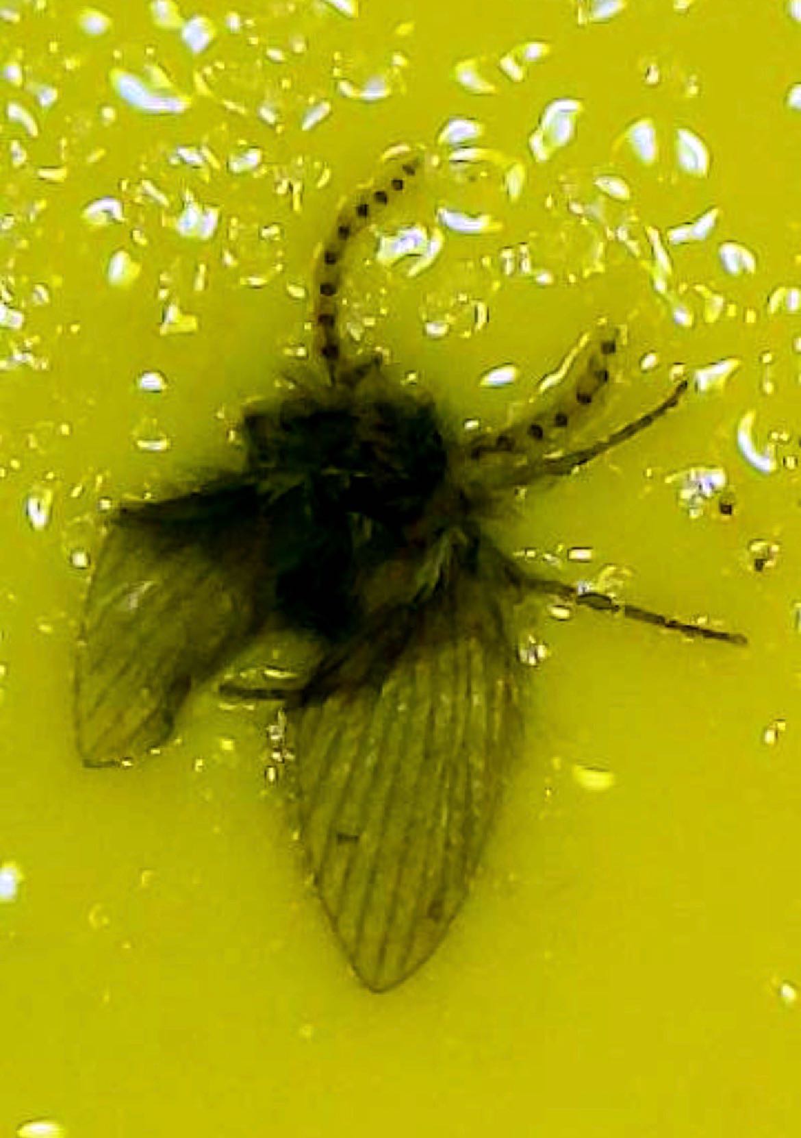 Attachment cdv_photo_1770916276_20260212121116.jpg