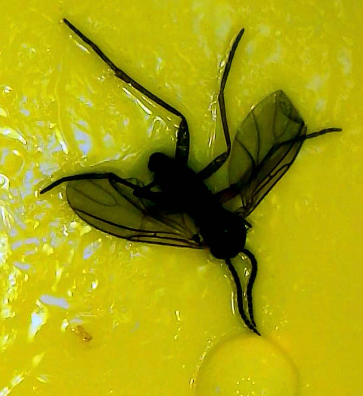 Attachment cdv_photo_1770916279_20260212121119.jpg