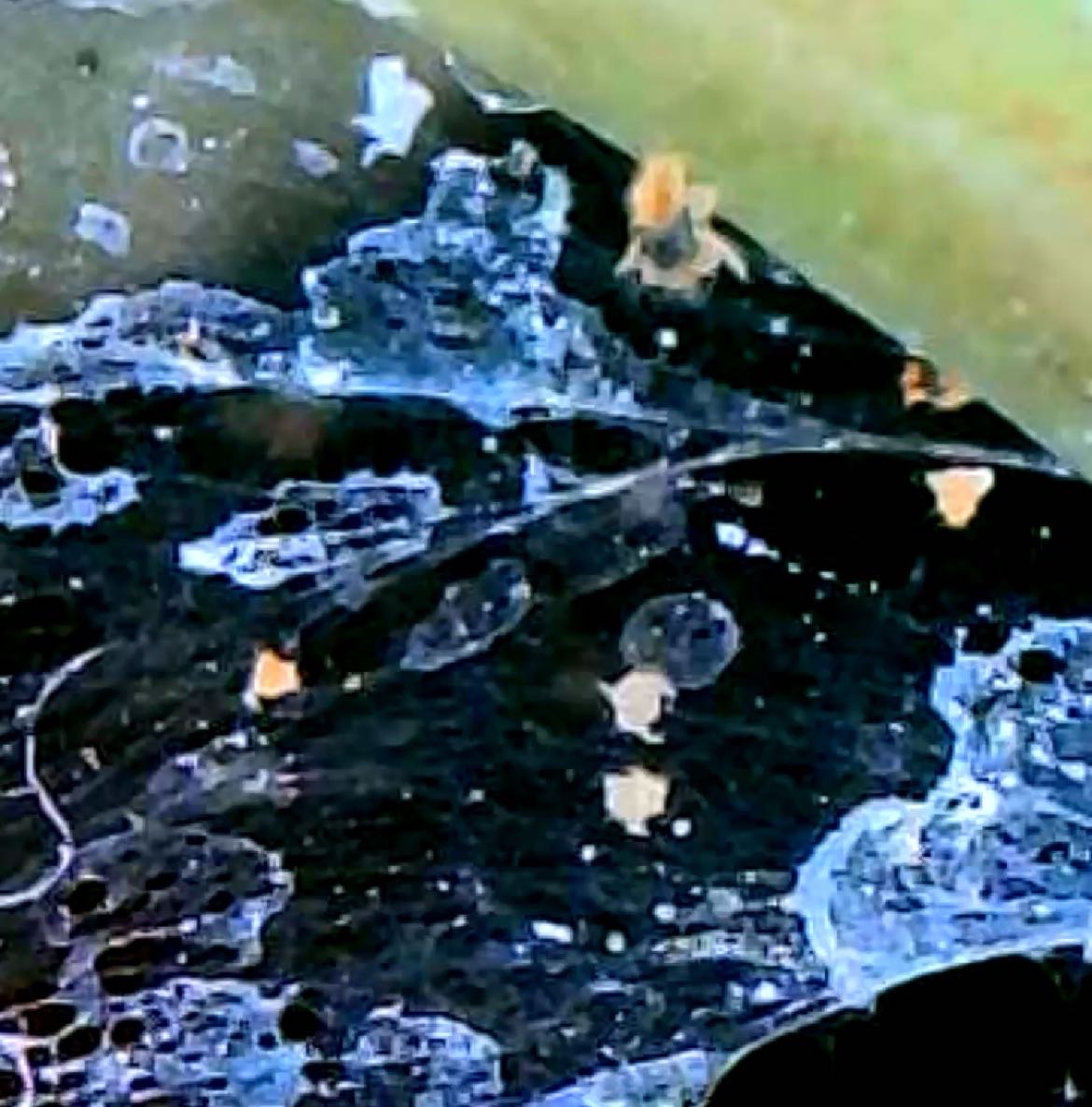 Attachment cdv_photo_1770916285_20260212121125.jpg