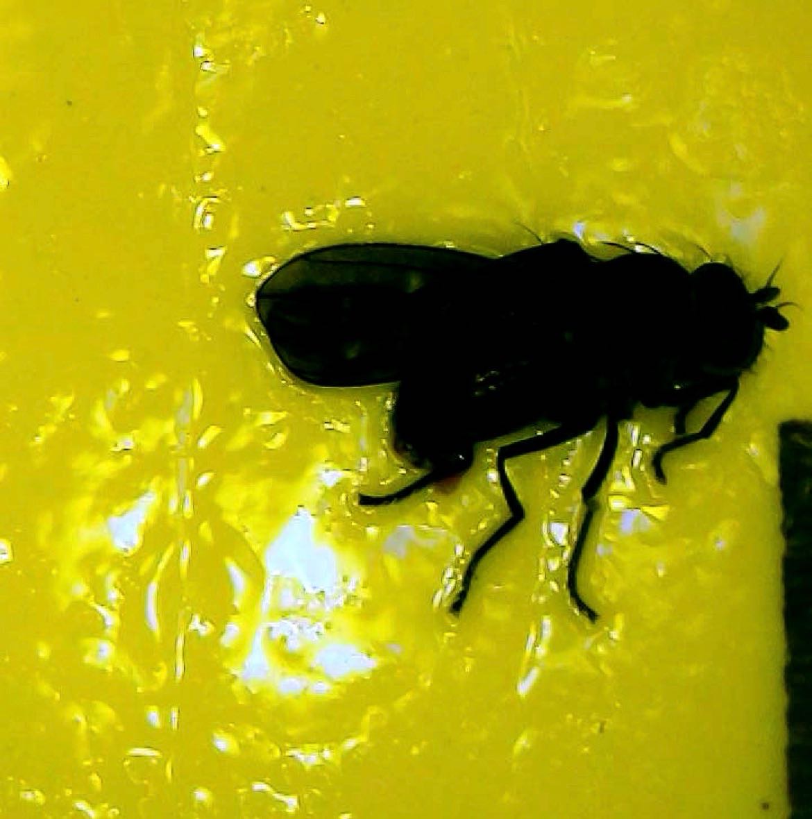 Attachment cdv_photo_1770917155_20260212122555.jpg