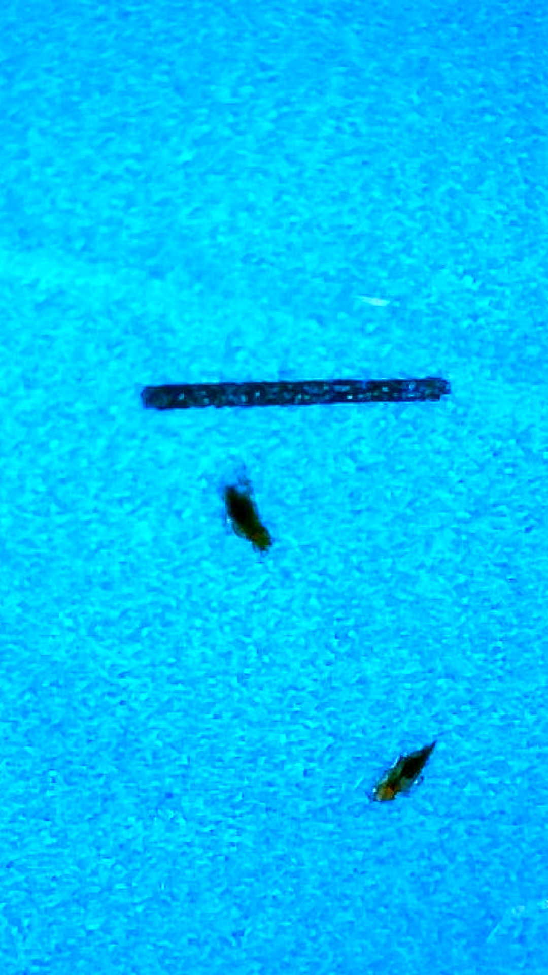 Attachment 2026-02-15-11-35-15-781.jpeg