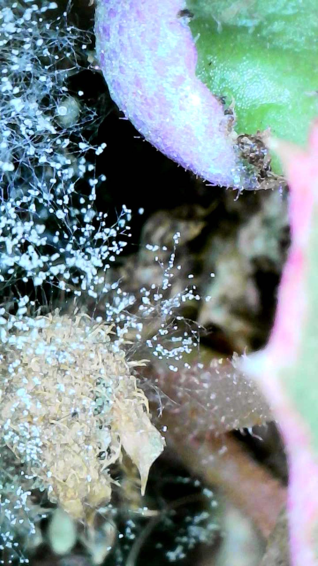 Attachment cdv_photo_1774211679_20260322163439.jpg