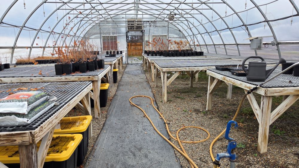 Attachment KnoxFarmGreenhouse.jpg