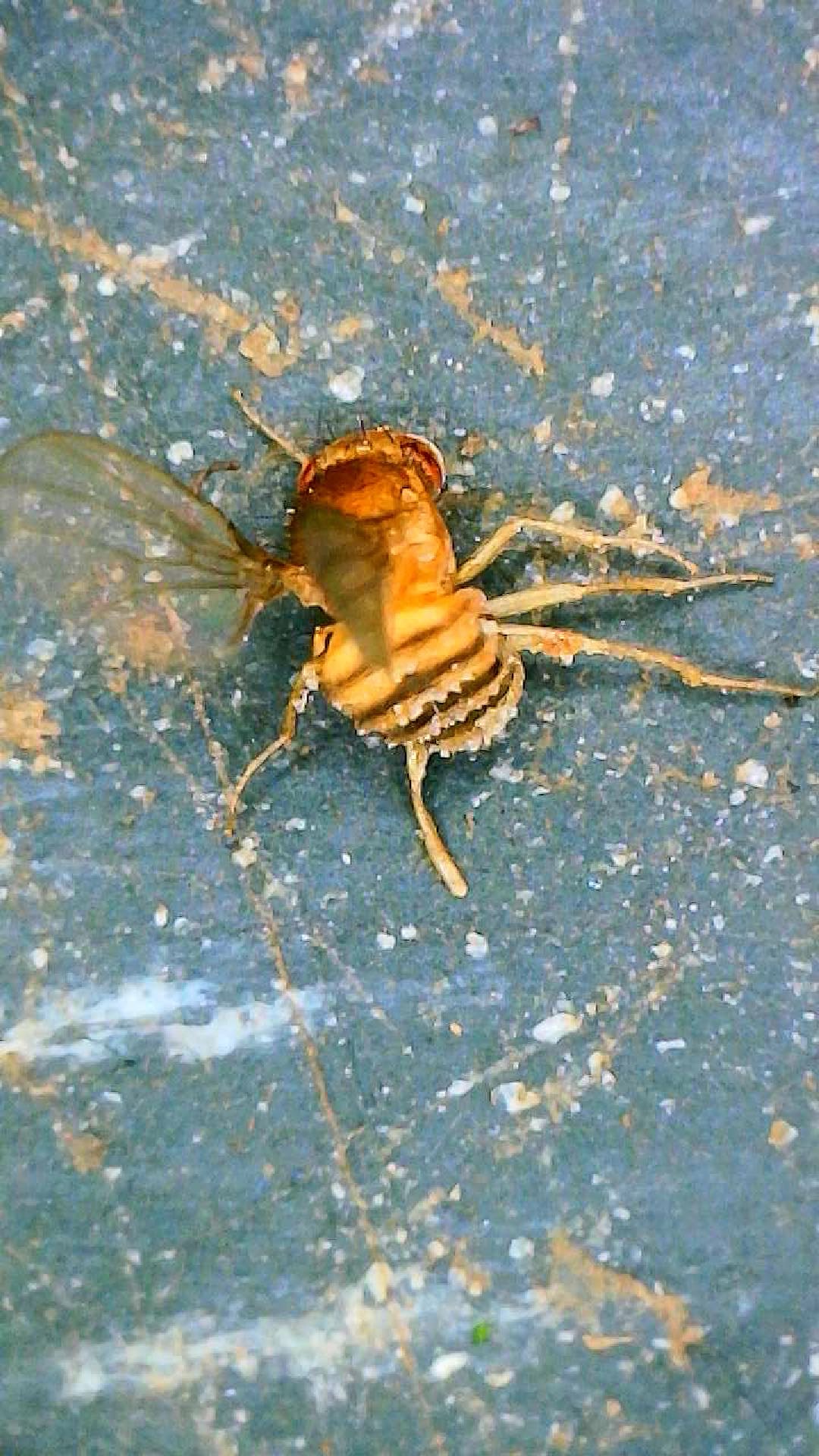 Attachment cdv_photo_1774212898_20260322165458.jpg