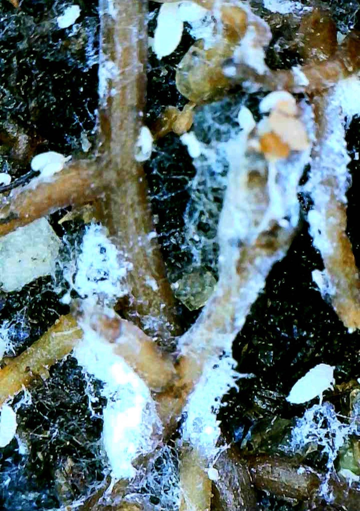 Attachment cdv_photo_1774213257_20260322170057.jpg