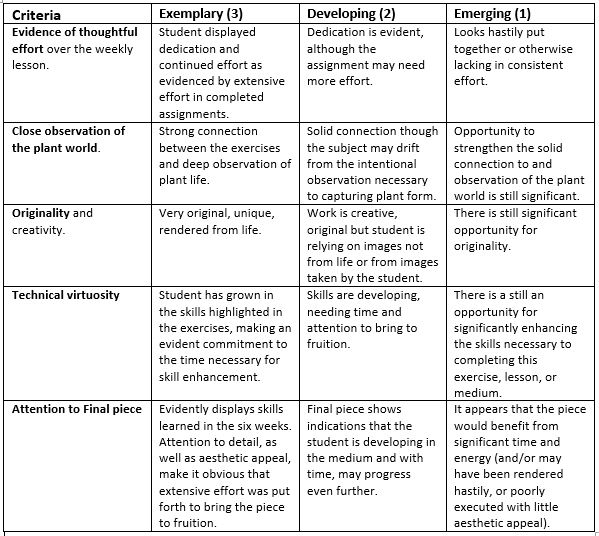 rubric for evaluation2