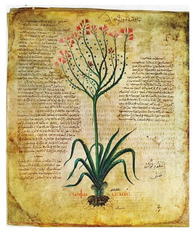 ancient illustration