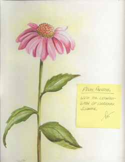 Using sticky notes to label your work is fine, just take care not to obscure your art