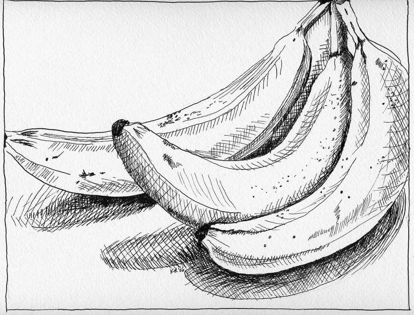 pen and ink - a group of bananas with excellent shading