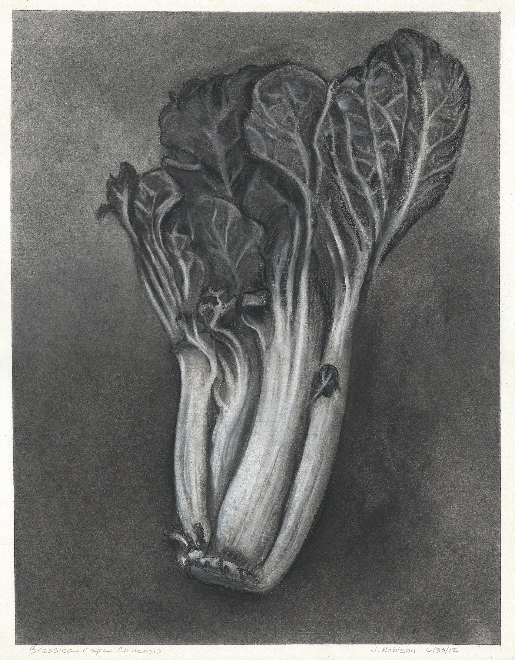 a bold, daring, and dramatic Bok Choi by Advanced Techniques student Jodi Robison