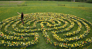 Frolicking in a flower maze!