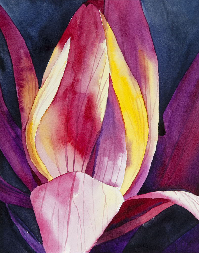 Color can enliven and ennervate your botanical illustrations, but require practice, and patience