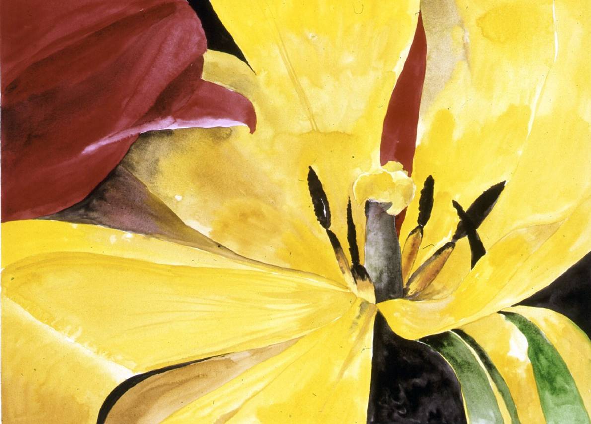The composition is at once bold, and simple, and the colors of the tulips sing