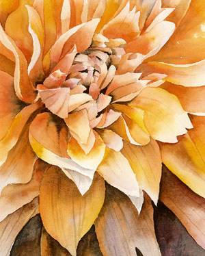Dahlia