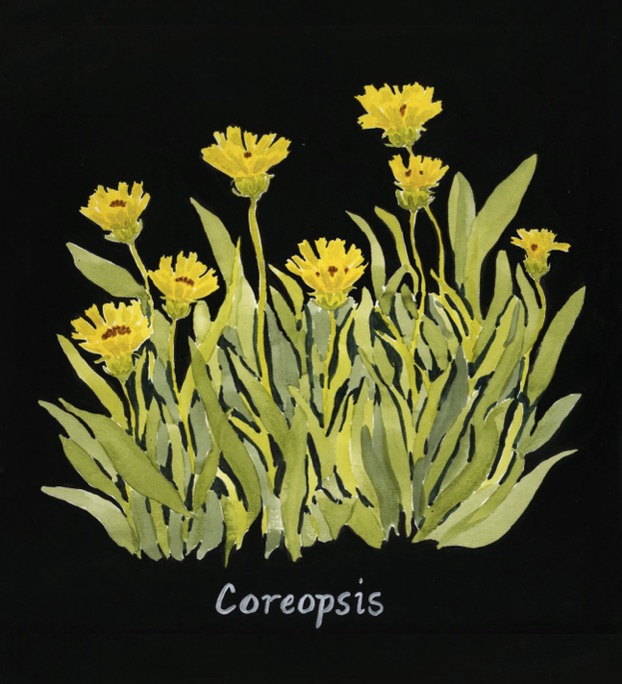 yellow flowers