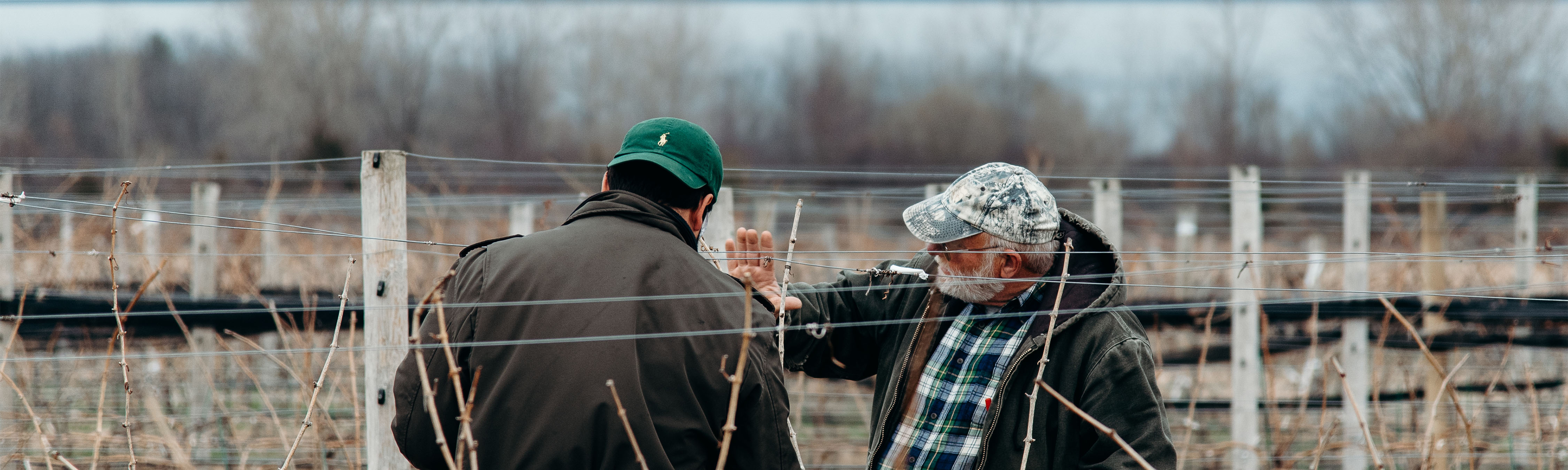 A person training another person in a vineyard.