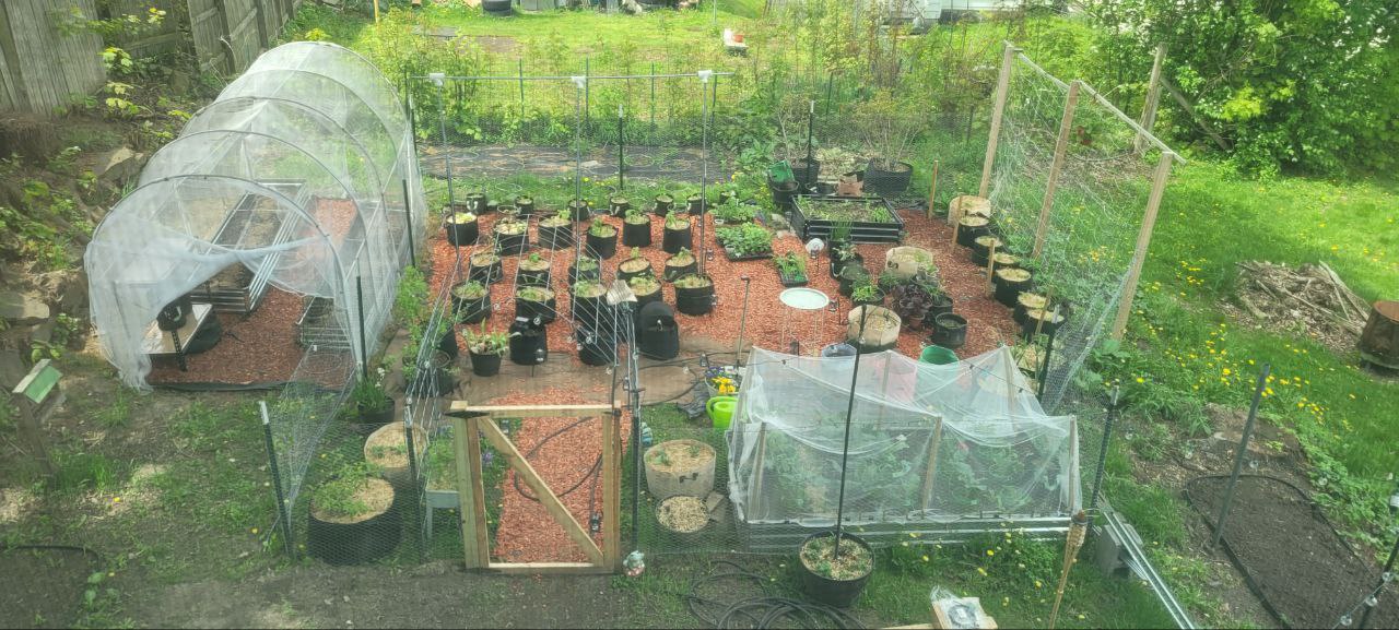 My spring 2025 Garden set up