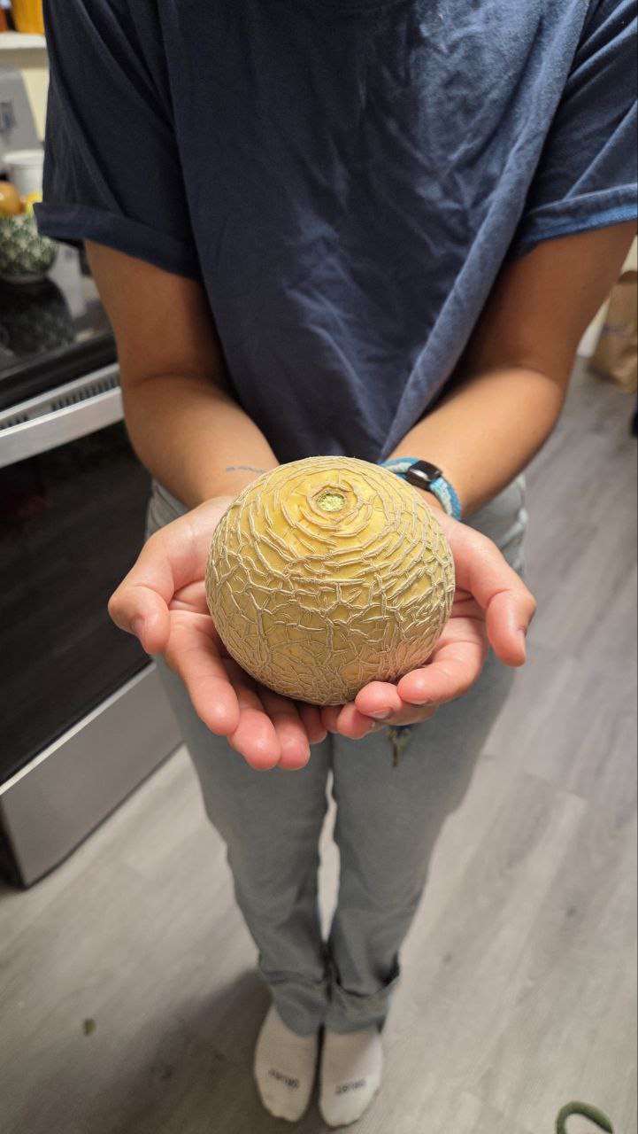 Let me know if you want these seeds