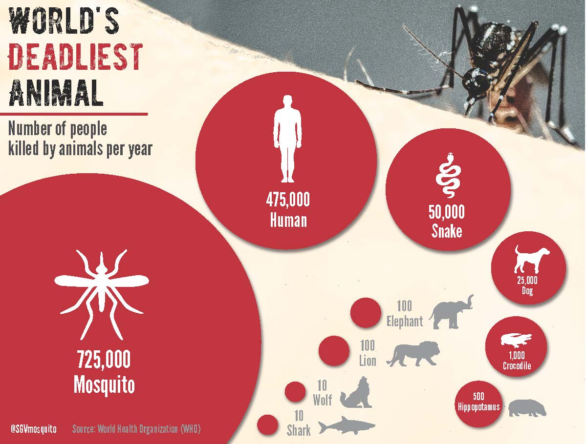 Graphic: World's deadliest Animal, Number of People Killed by Animals per Year, 725,000 - Mosquito; 475,000 - Human