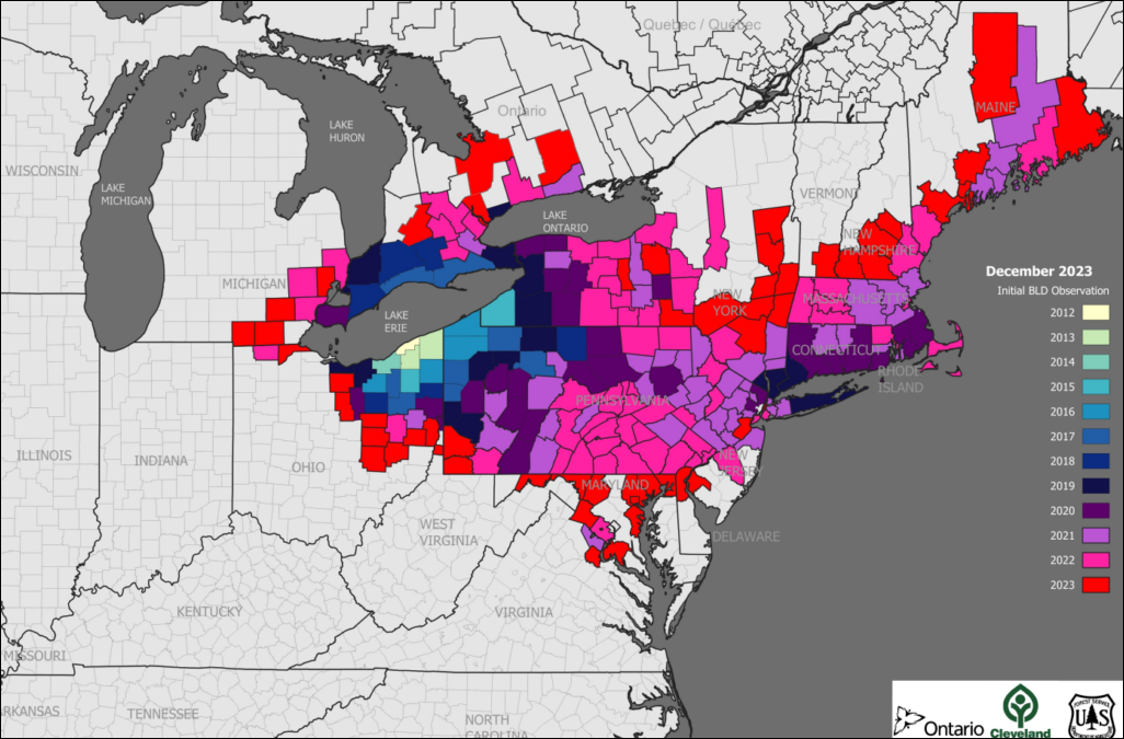 Map of the northeastern United States showing the spread of Beach Leaf Disease from 2012 to 2023.