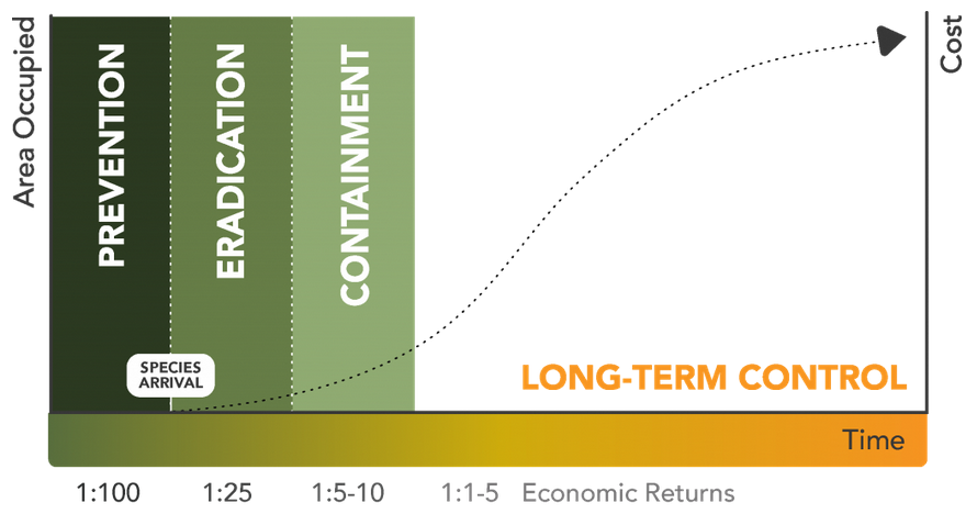 Invasive species and stages of management - Prevention, Eradication, Containment, Long-Term Control